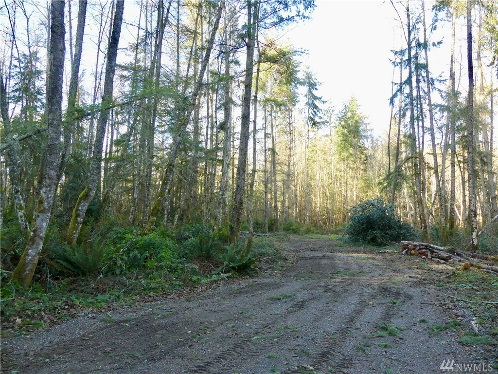 Property Photo:  1003 Evergreen Lane  WA 98249 