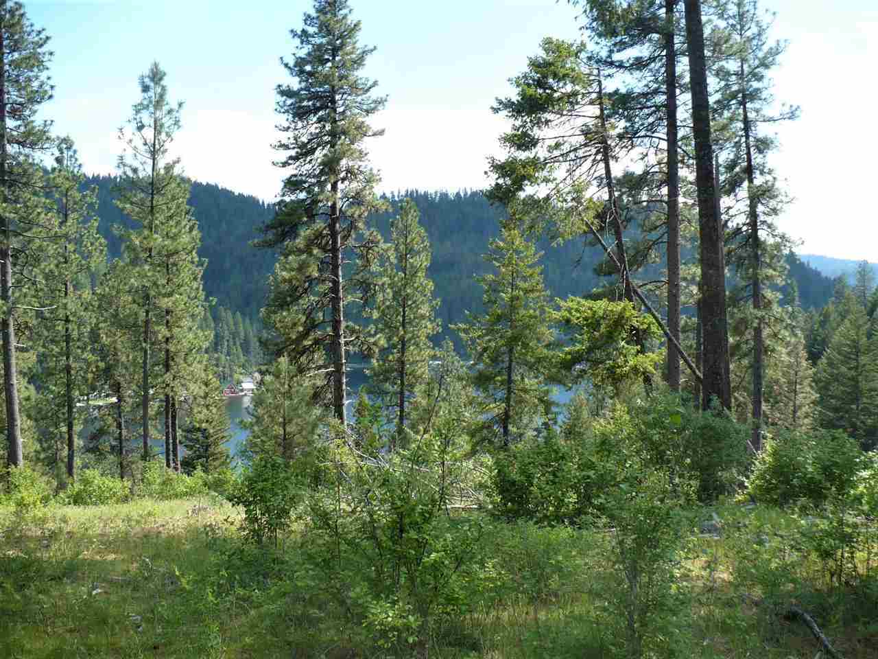 Property Photo:  4100 N Deer Lake Lot 11 Rd  WA 99148 