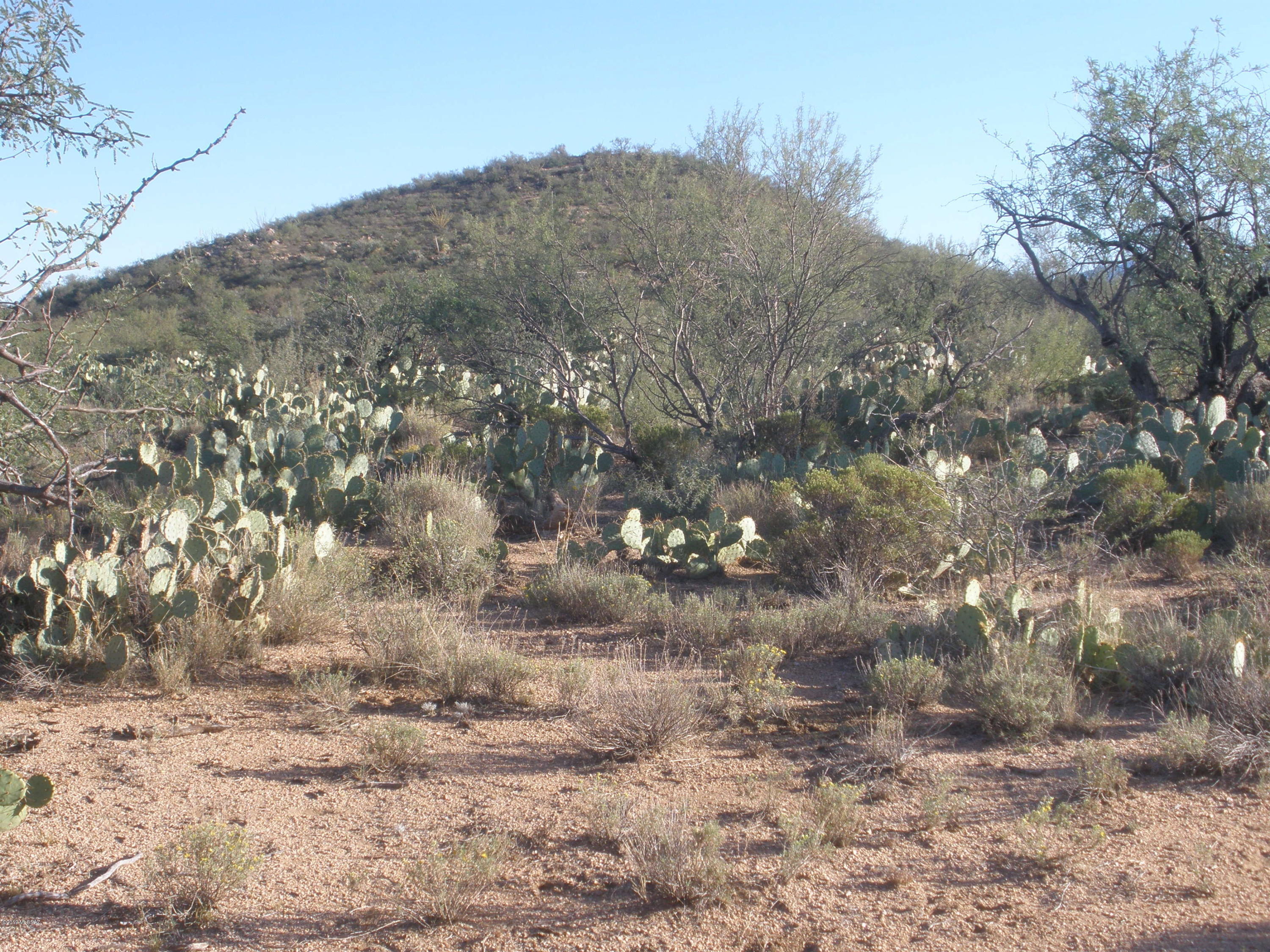 Property Photo: 0 E Vanessa Way B4 AZ 85623