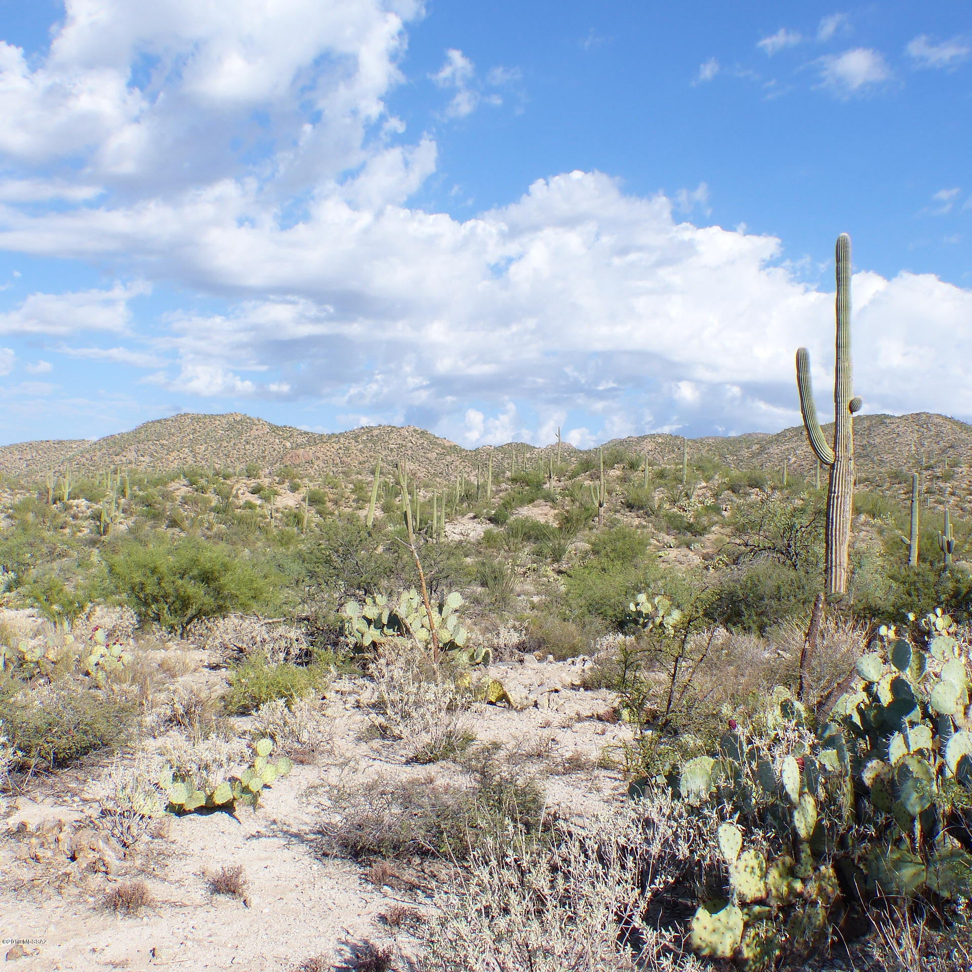 Property Photo: 14260 N Hawk Canyon Trail 0 AZ 85755