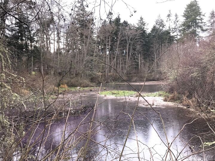 Property Photo: 0 Lucky Dog Lane WA 98239