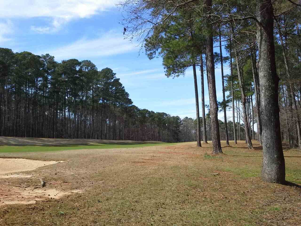 Property Photo:  1831 Osprey Poynte 13  GA 30642 
