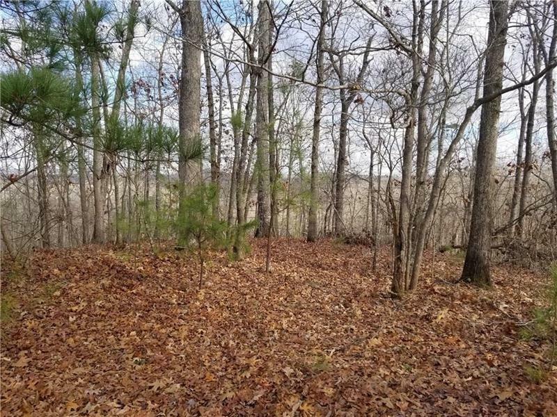 Property Photo:  0 Moss Overlook Lot 16 Road   30534 