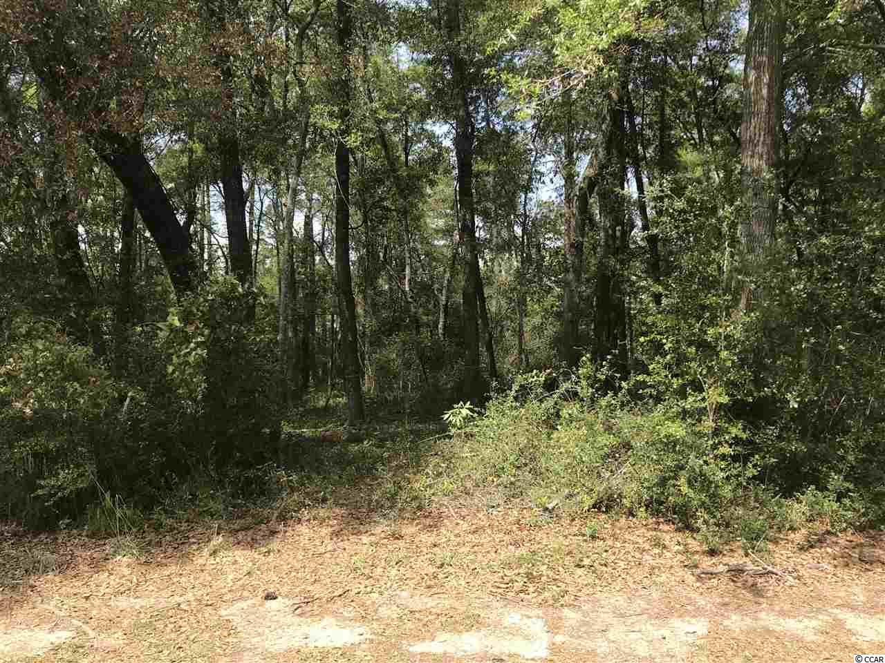 Property Photo:  275 Old Cypress Circle  SC 29585 