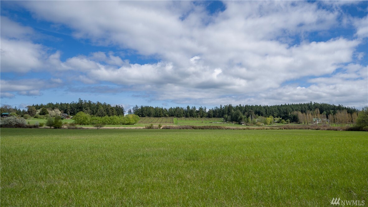 0 Lopez Rd  Lopez Island WA 98261 photo