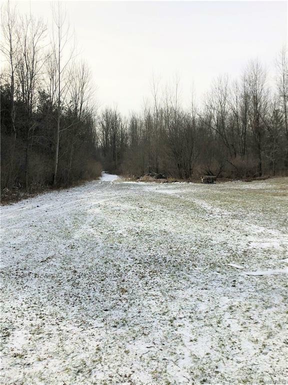 Property Photo:  V/L Clinton  NY 14059 
