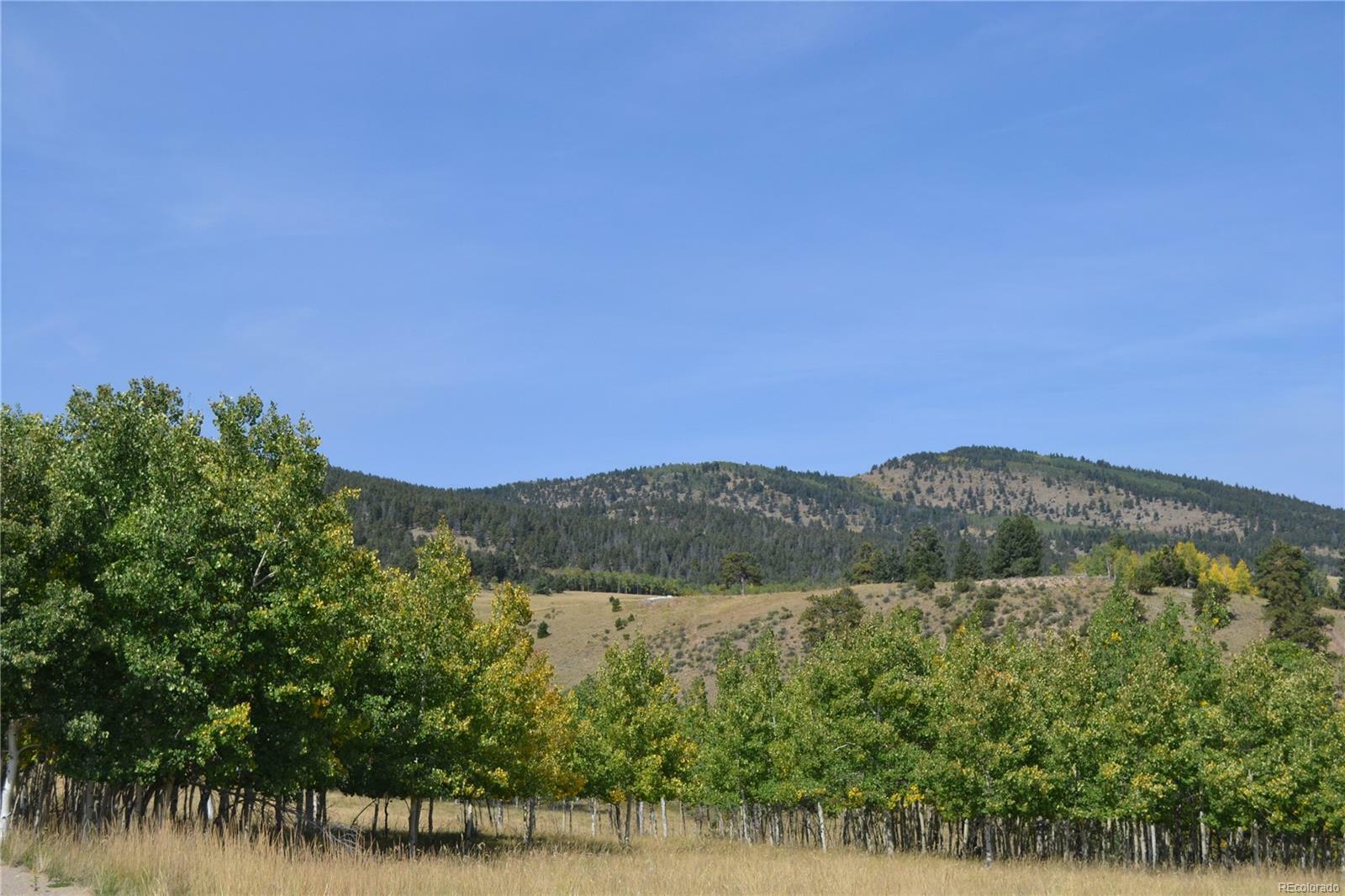 Property Photo:  8651 Ranch Road  CO 80449 