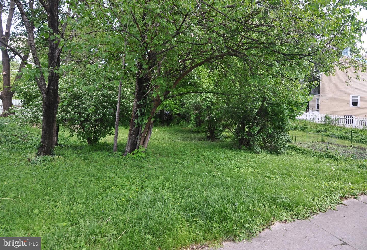Property Photo: 104 Morgan Street VA 22601