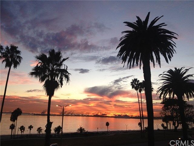 Property Photo:  2601 E Ocean Boulevard 508  CA 90803 