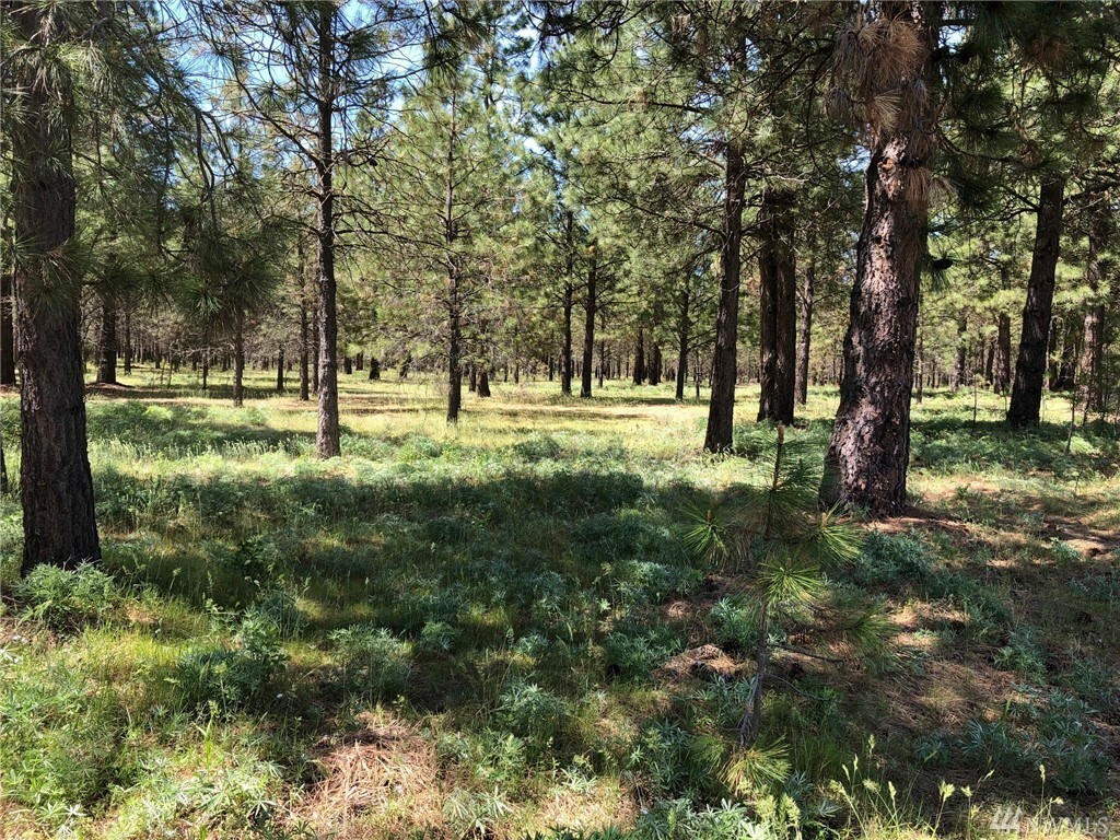 Property Photo:  3581 Hwy 970 (Lot 1)  WA 98922 