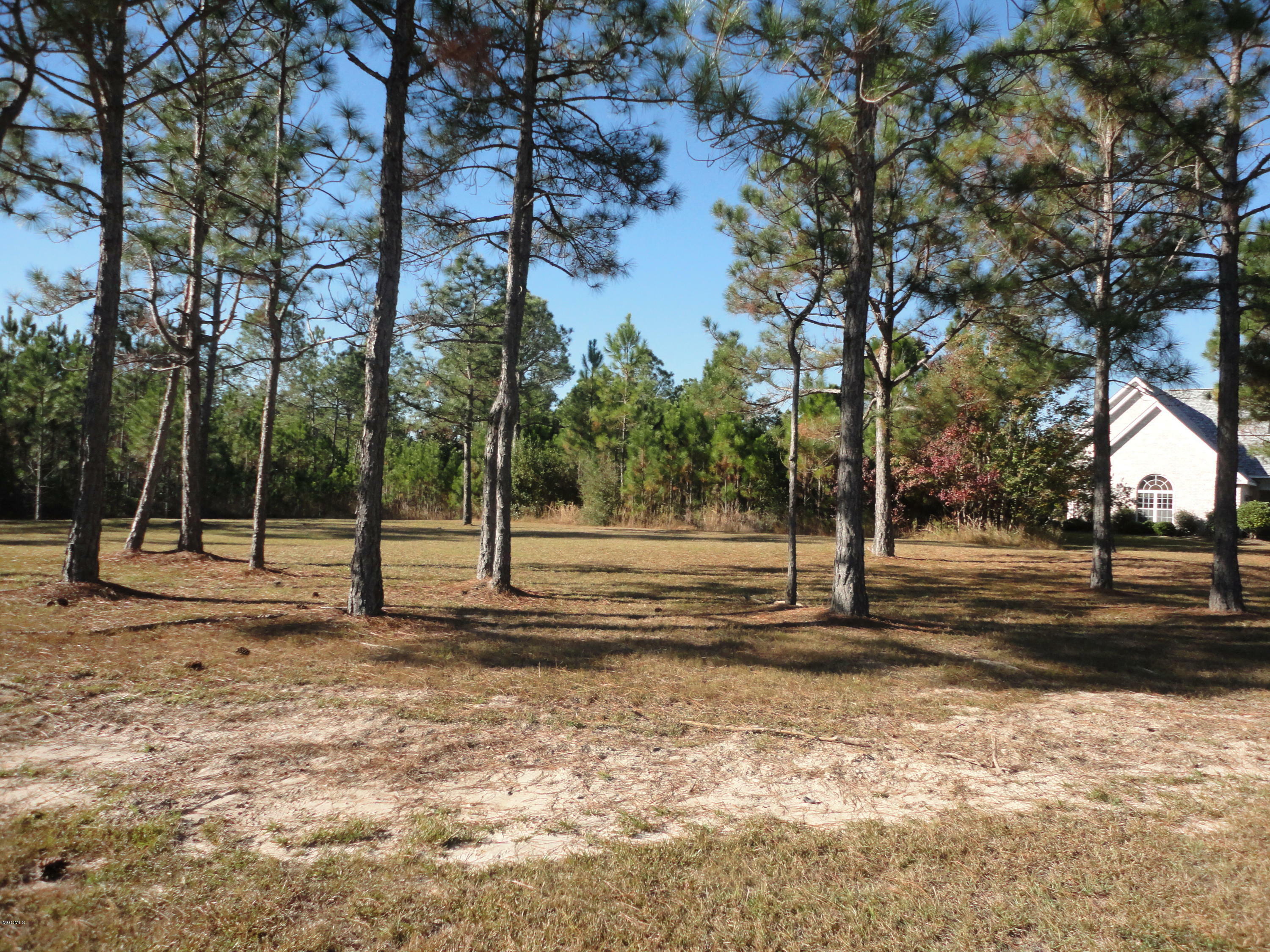 Property Photo:  0 Cobblestone  MS 39553 