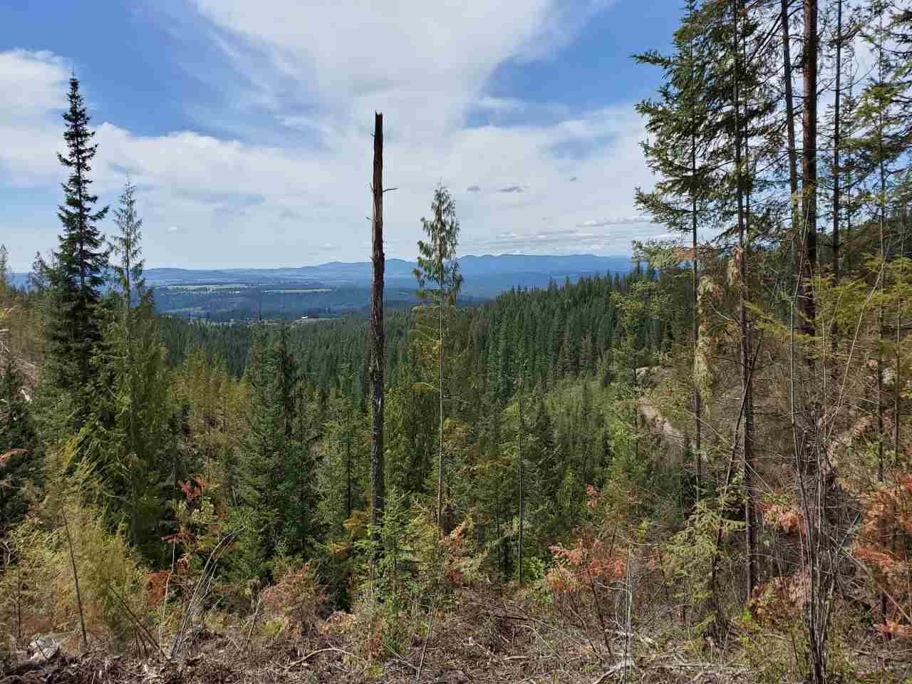 Property Photo: 16xxx Bowman Rd WA 99003