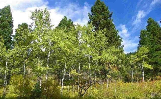 Property Photo:  Lot 10 Cottonwood Ranch Trail  MT 59715 