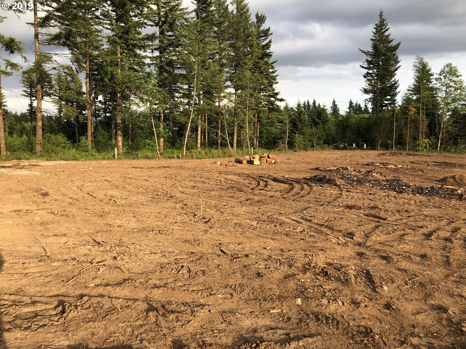 Property Photo:  View Ridge  WA 98671 