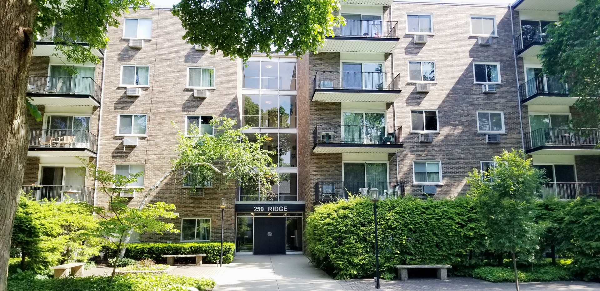 Property Photo:  250 Ridge Avenue 4D  IL 60202 