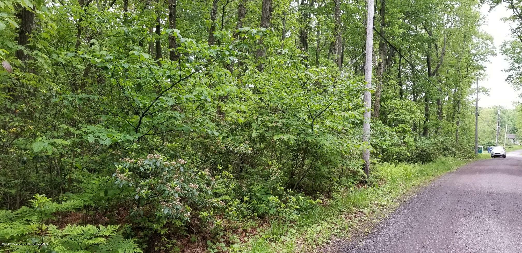 Property Photo:  Lot 10-11 Little Lake Road  PA 18436 