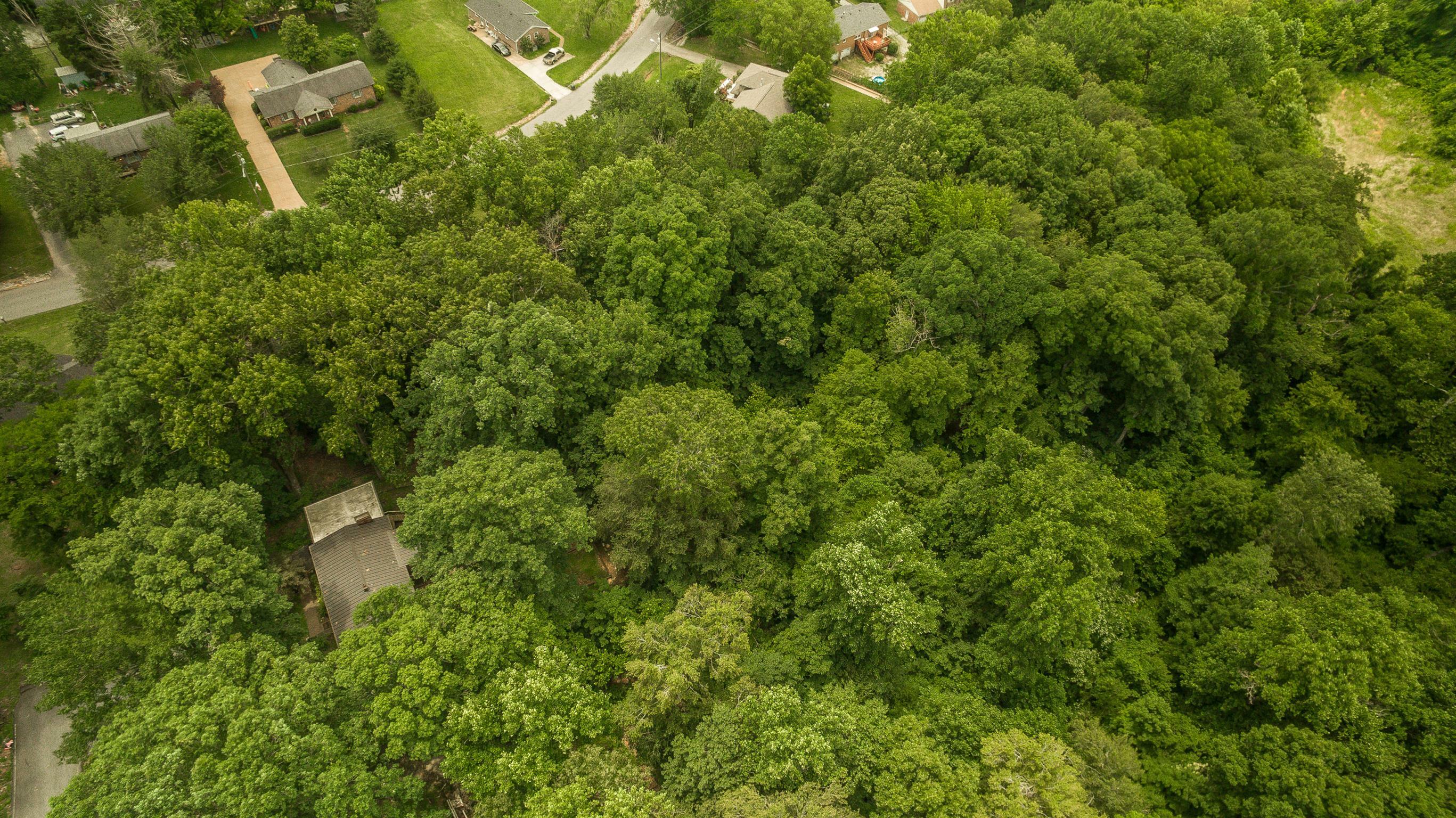 Property Photo: 413 Golfview Ln TN 37172
