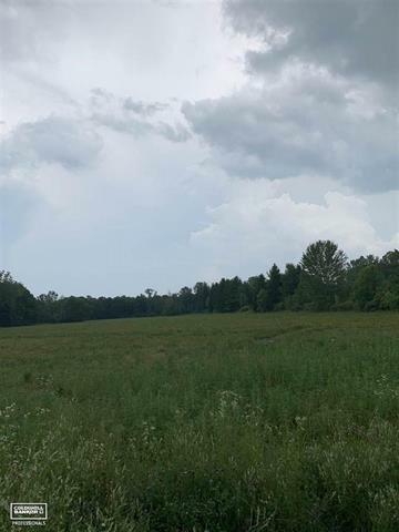 Property Photo: Imlay City Rd Vl West MI 48006