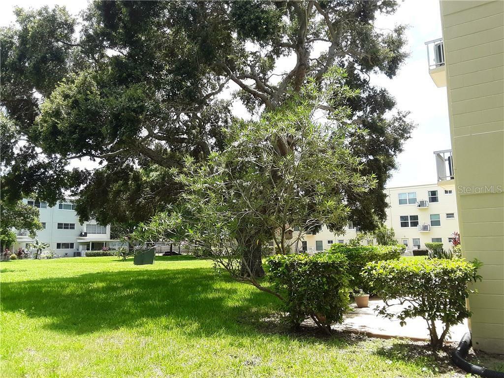 Property Photo: 2253 Norwegian Drive 1 FL 33763