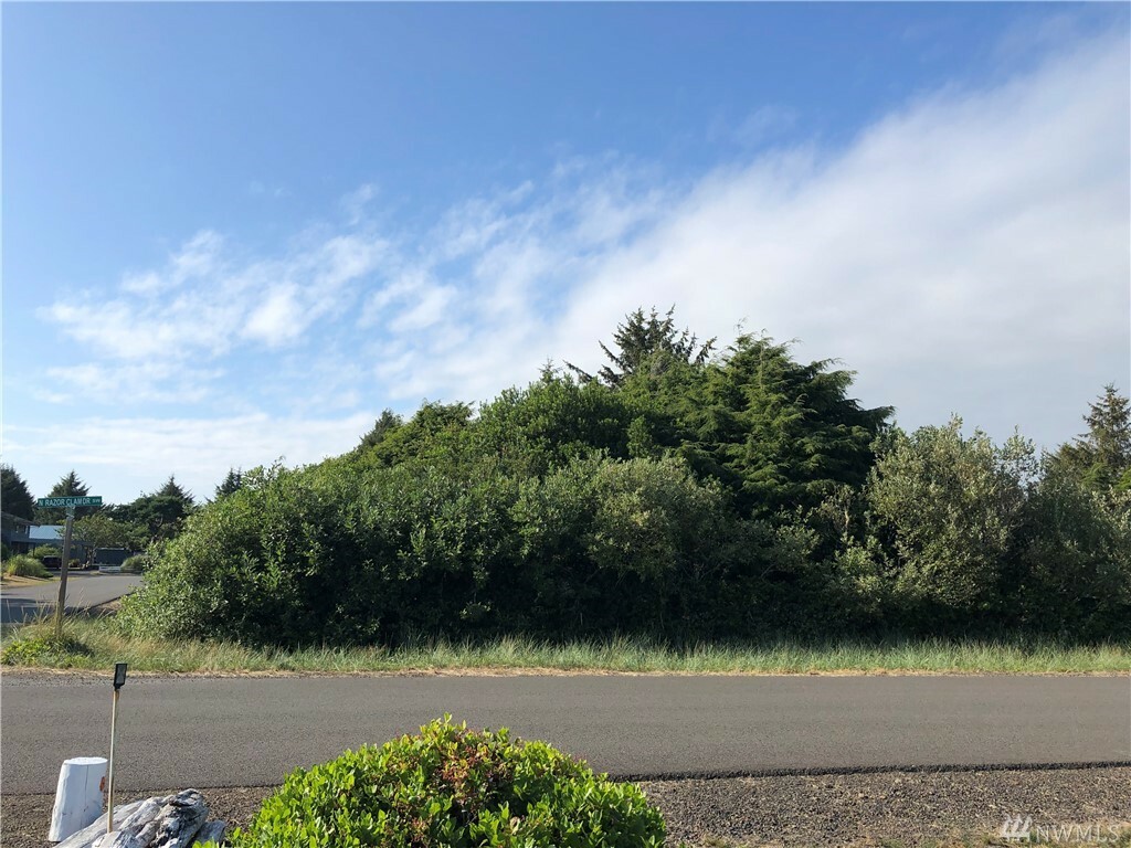 Property Photo:  298 N Razor Clam Dr SW  WA 98569 