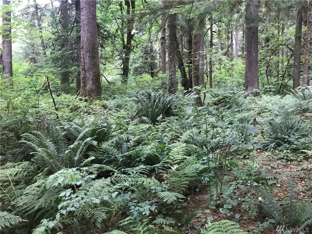 Property Photo:  222 Xx N River Dr Lot 8  WA 98252 