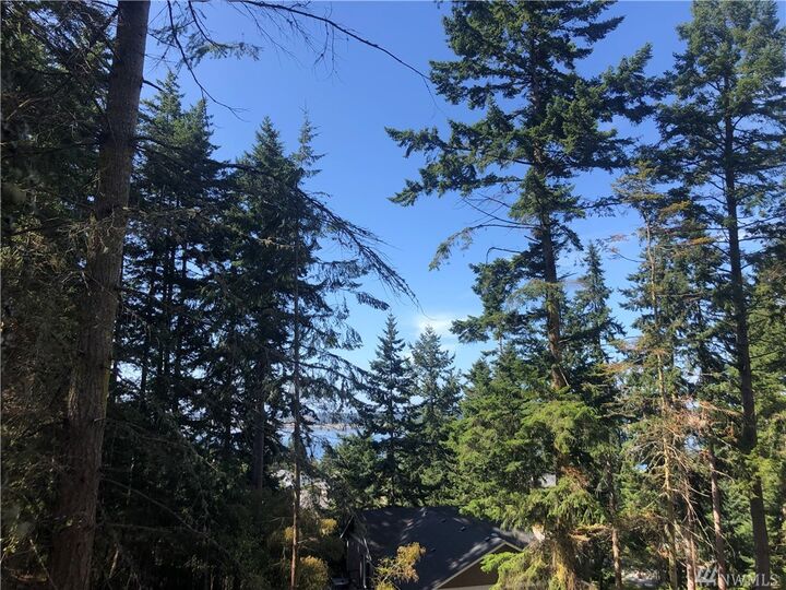 9999 NE Pennington Lp  Coupeville WA 98239 photo