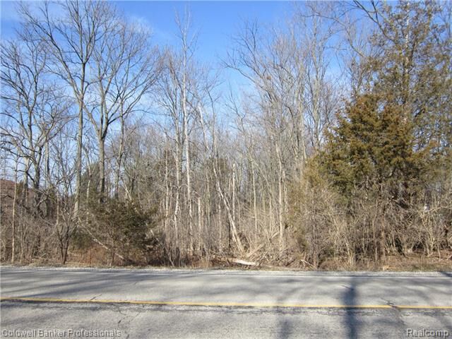 Vl E River Road  Flushing MI 48433 photo