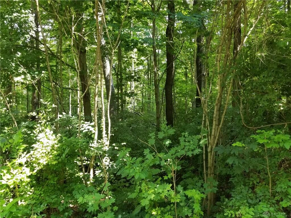 Property Photo: 0 Phillipsburg Union Road OH 45322