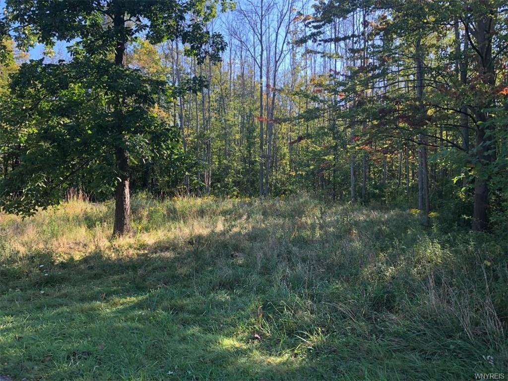 Property Photo: 9849 Utica Street NY 14006