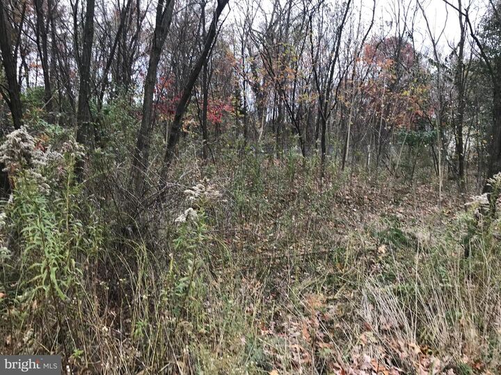 Property Photo:  11813 Illinois Avenue  MD 21502 