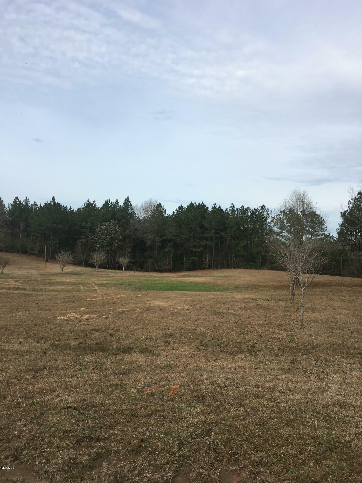 Property Photo:  Lot 25 Blackwell Farm Road  MS 39574 