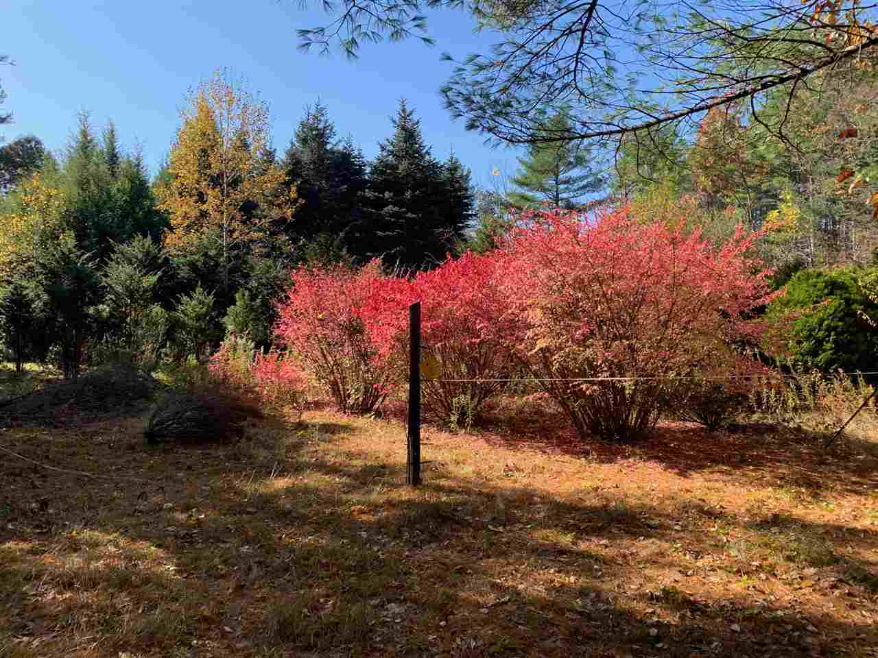 Property Photo:  141 Joppa Road  NH 03054 
