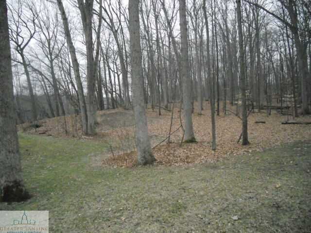 Property Photo:  Oakview Drive  MI 48837 