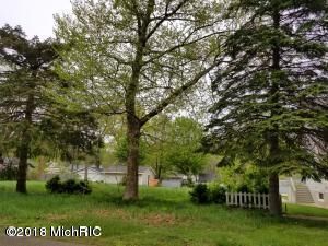 Property Photo: 216 E Muskegon Avenue MI 49461