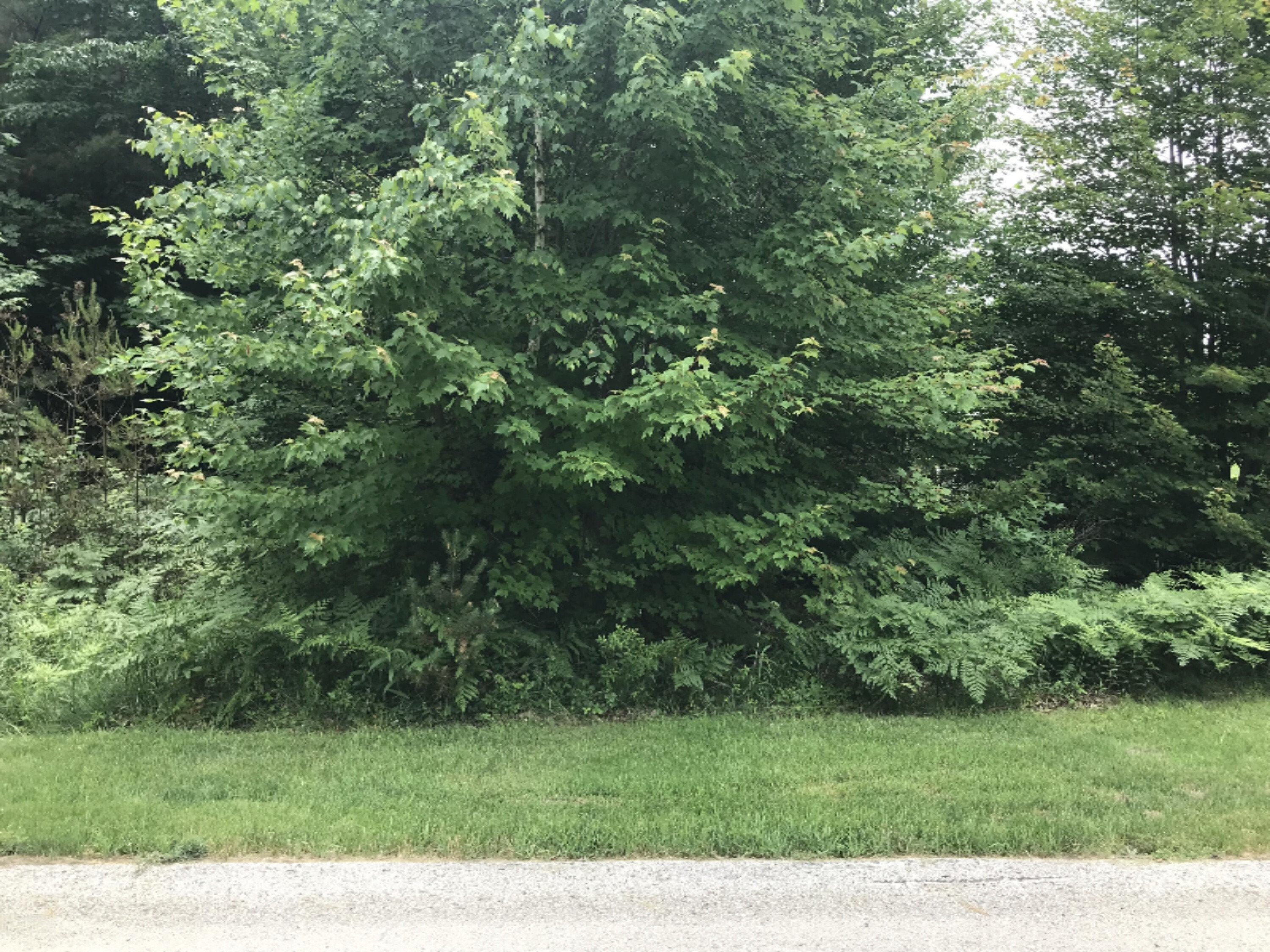 Property Photo: 18803 Hemlock Drive MI 49456