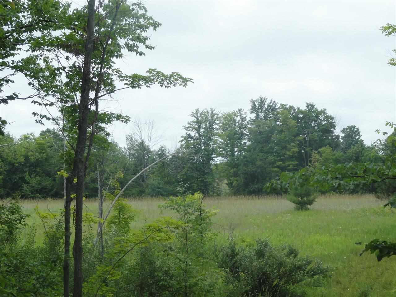 Property Photo: 0 Vance MI 49727
