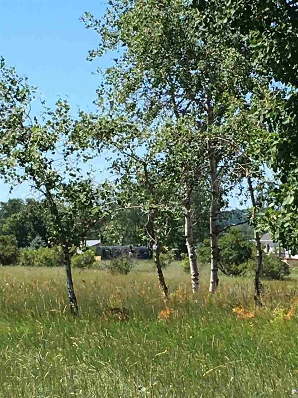 Property Photo: 116 Cooperage MI 49727