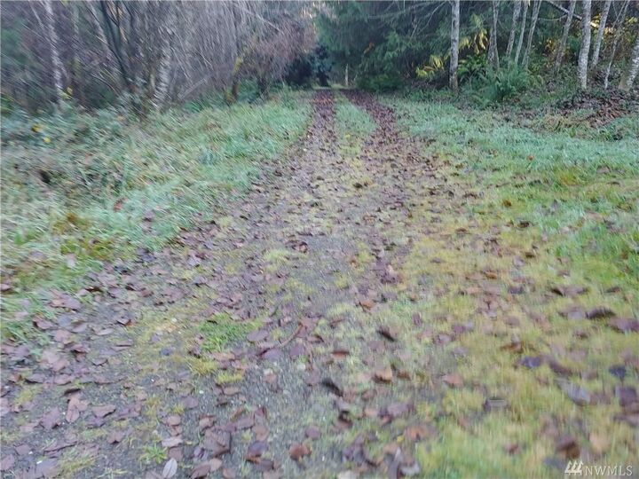 Property Photo: 28 Rogers Lane WA 98541