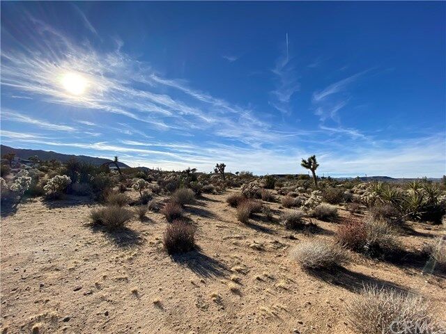 Property Photo:  7037 Sunnyhill Road  CA 92252 