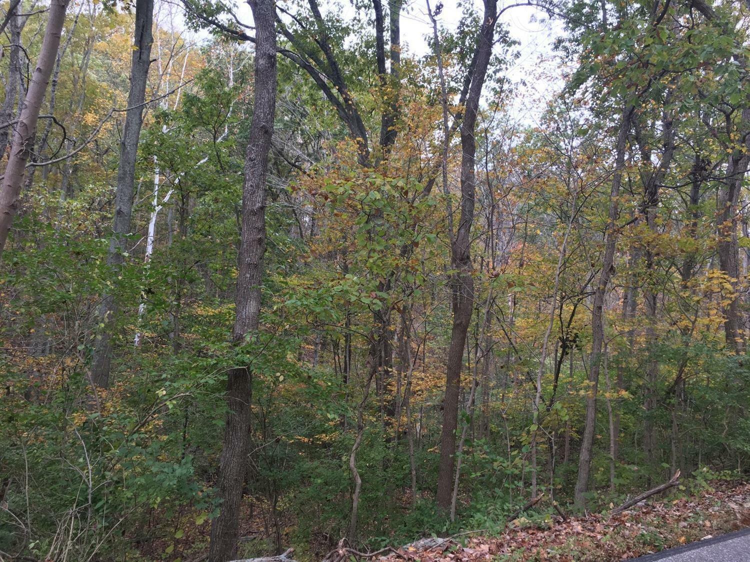 Property Photo:  0 Sugar Camp Rd 1.3ac  OH 45150 