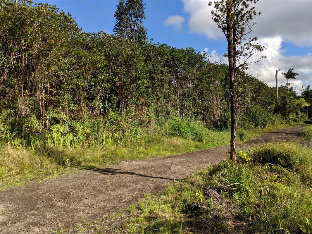 Property Photo:  Road 7 (Opeapea)  HI 96771 