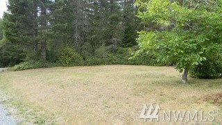 Property Photo:  1700 NE Haven Wy  WA 98588 