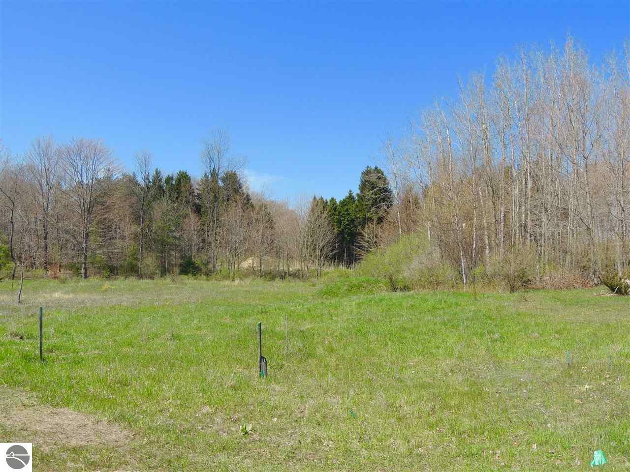 Property Photo: Lot 5 Hanrath Street MI 49635