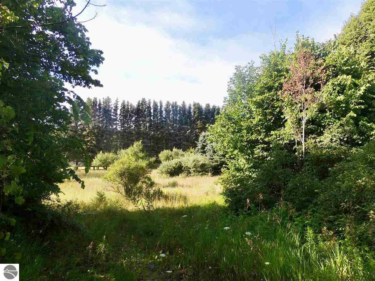 Property Photo: 00 "Lot 3" Grace Road MI 49635