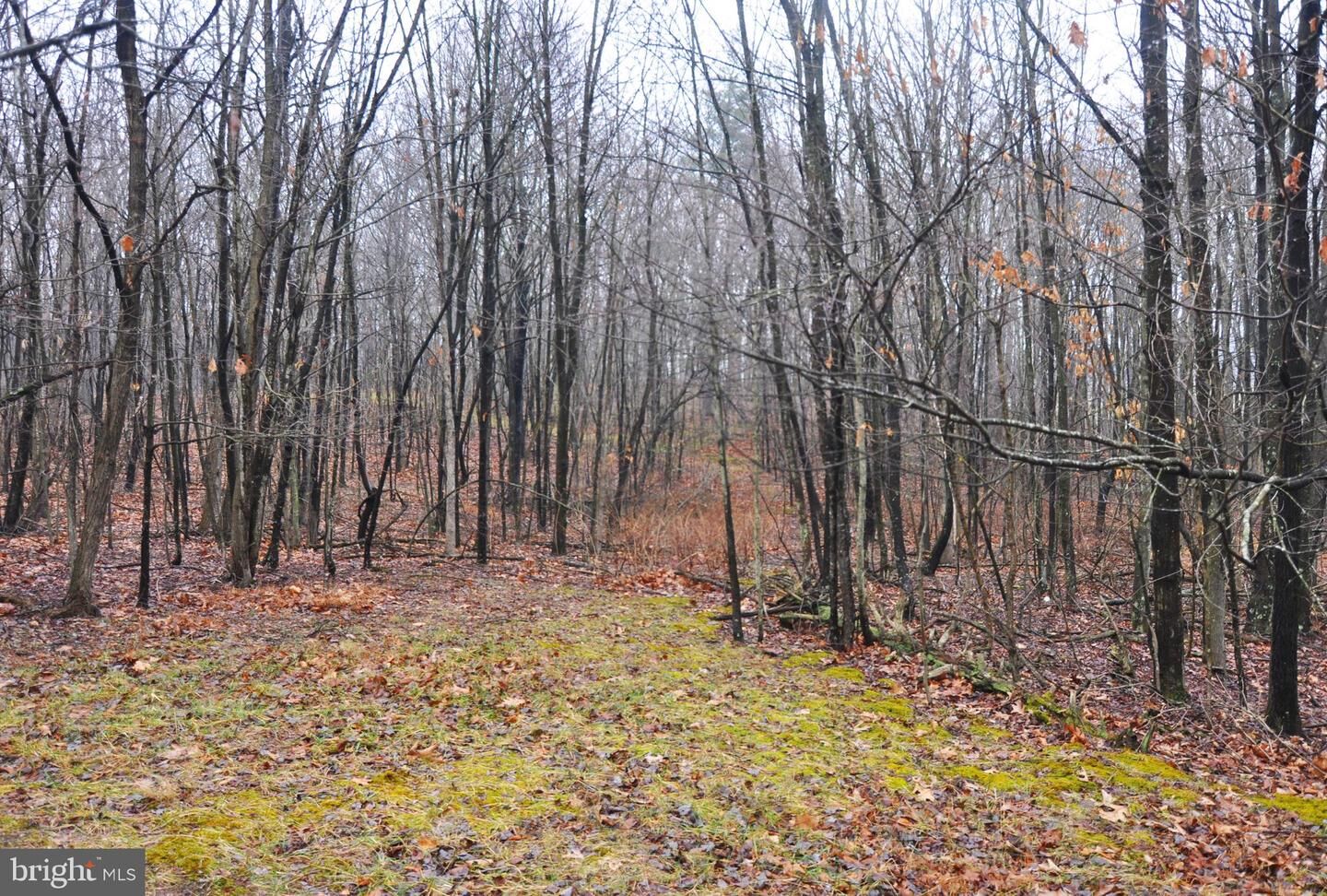 Property Photo: L-59 Woodpecker Court VA 22637
