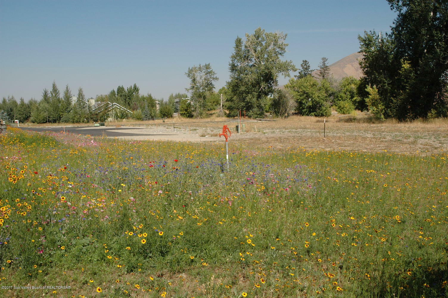 Property Photo:  304 Bluebird Ct  ID 83333 