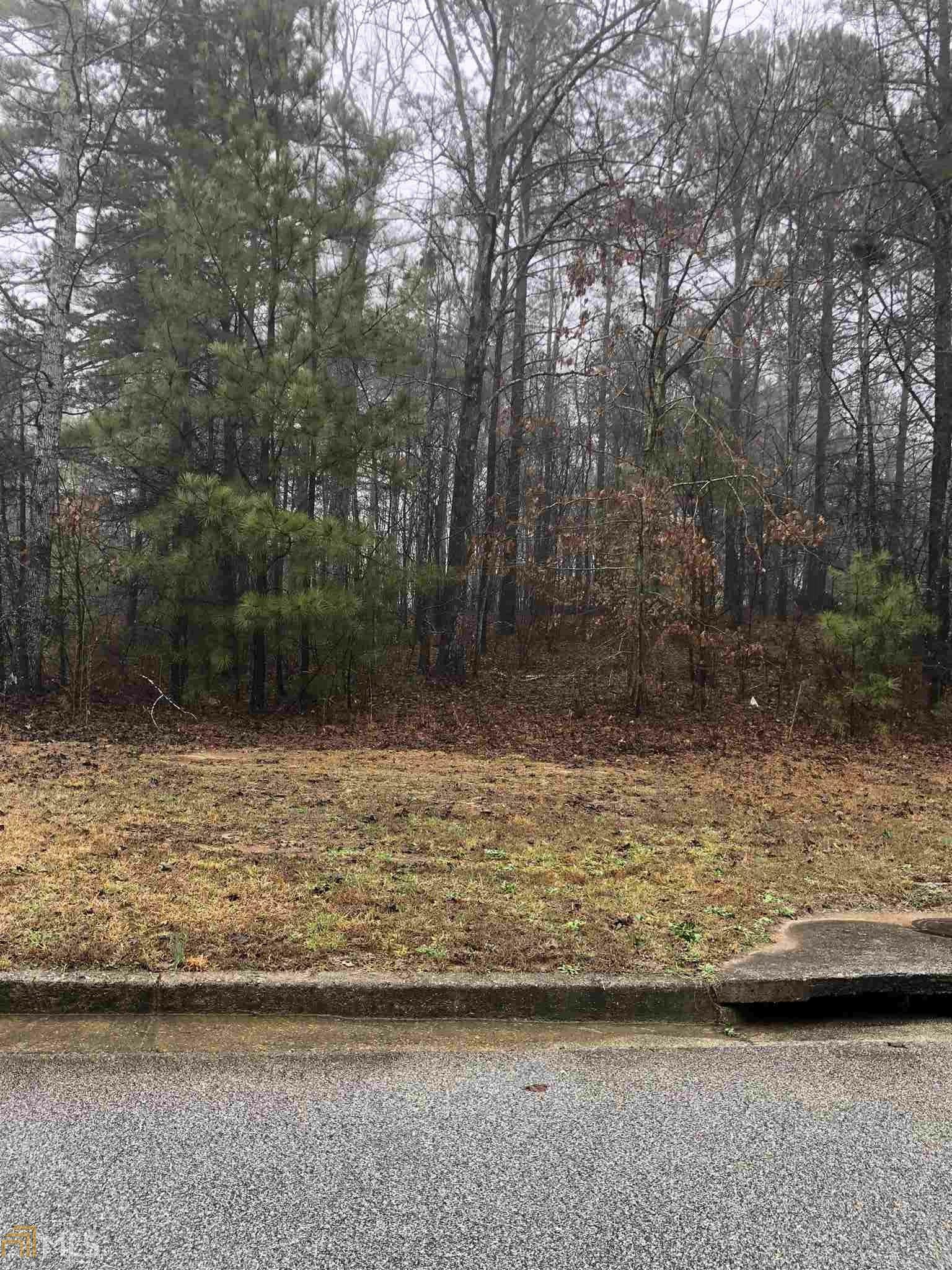 Property Photo: 182 Meadow Spring Court GA 30179