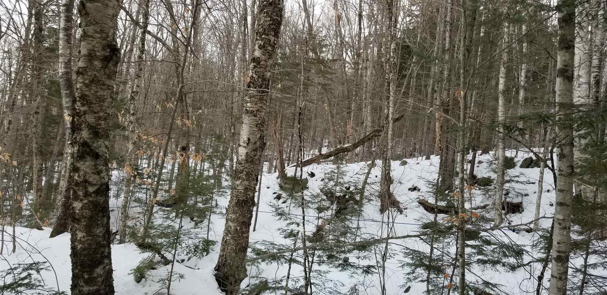 Property Photo:  203 Ellsworth Hill Road  NH 03223 