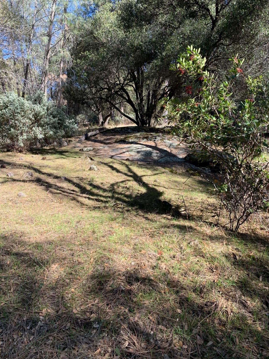 Property Photo: 0 5.22 Acs Grizzly Flat Road CA 95684