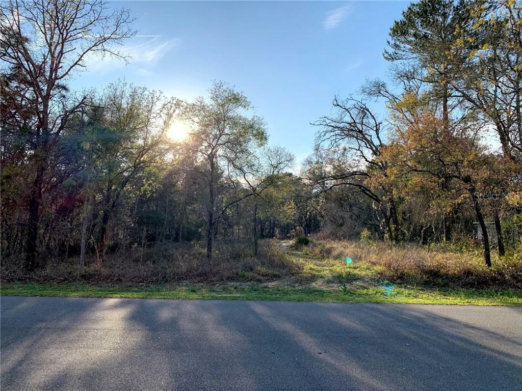 Property Photo: 12301 Fulmar Road FL 34614